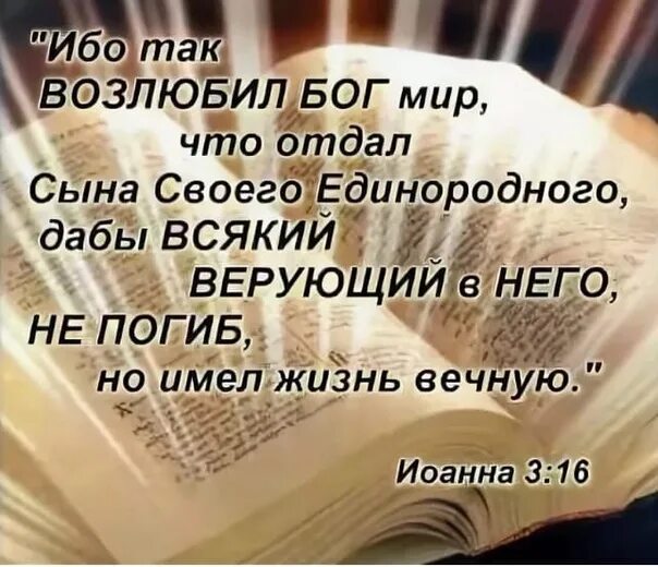 Сына отдавшего жизнь. Ибо так возлюбил Бог. Ибо так возлюбил Бог мир что отдал. Ибо так возлюбил Бог мир что отдал сына своего Единородного. Бог отдал сына своего Единородного.