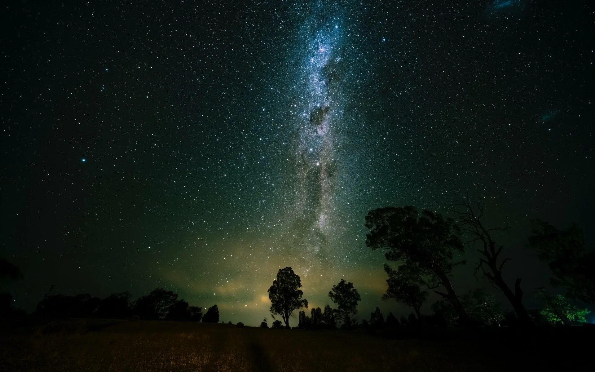 Звездное небо. Ночное небо. Небо космос. Звездное небо деревья. Tree star