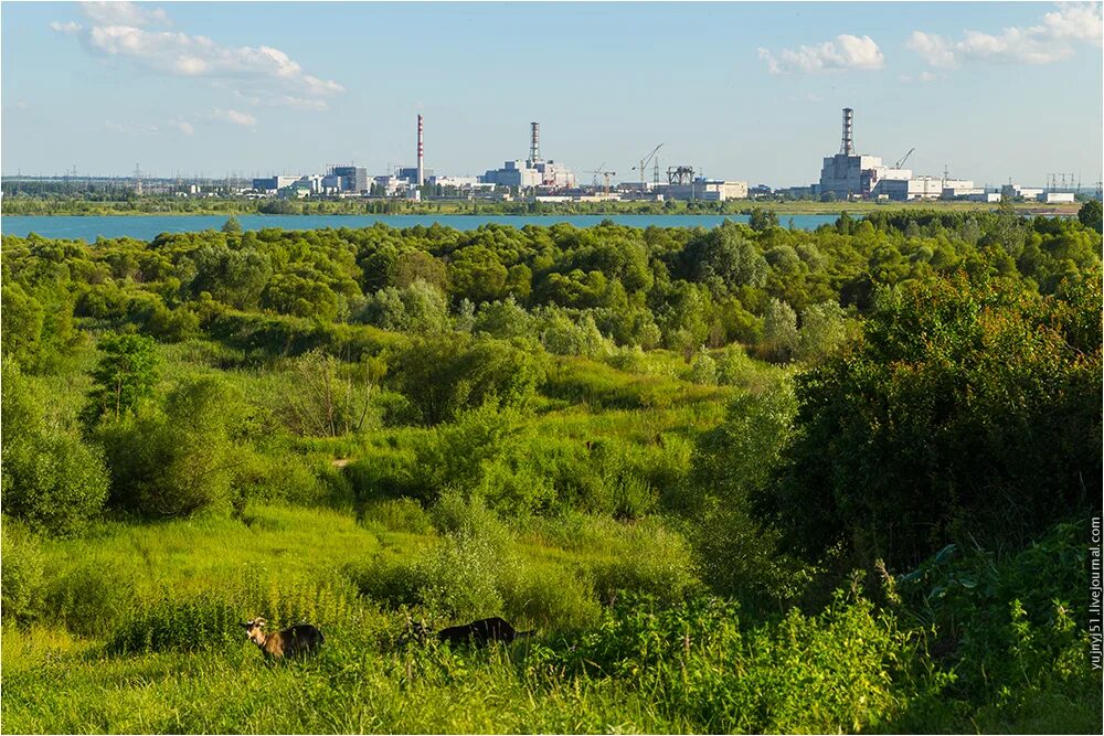 Курская аэс от брянска. Курская аэс. курская аэс 5 блок. десногорск природа. курская аэс вид сверху.
