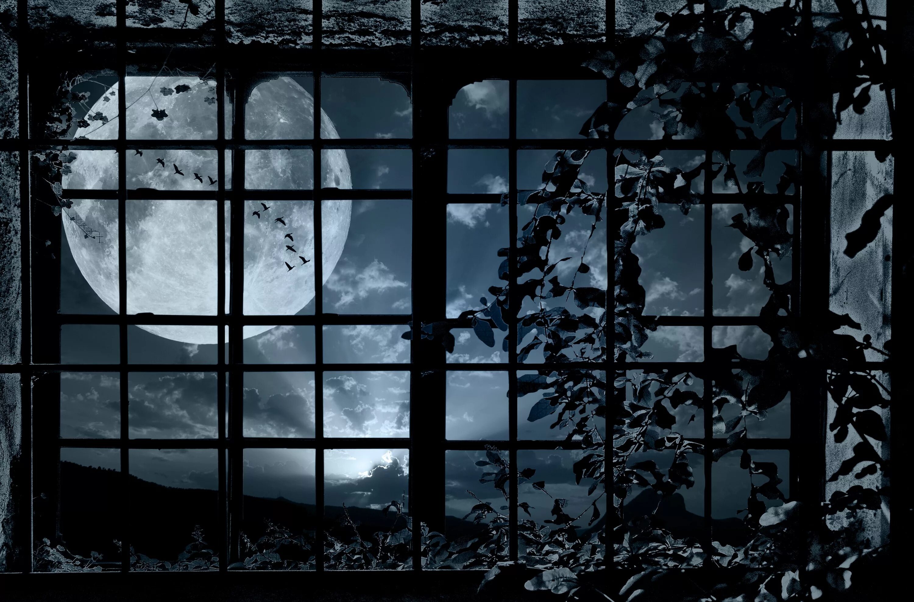 Окно ночью. Темное окно. Мрачный вид из окна. У окна.