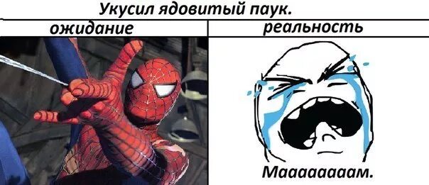 Радиоактивен паук укусил. Паук который укусил человека паука. человек паук укус паука. укусил паук ожидание реальность. паук кусает питера паркера.