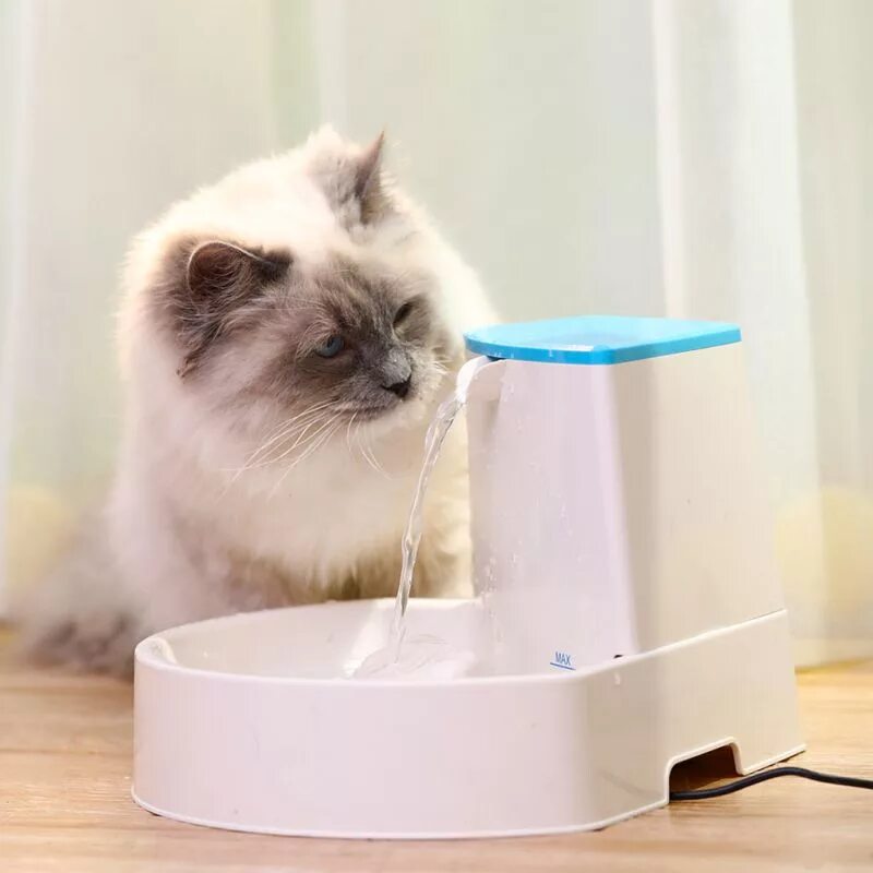Els Pet автопоилка фонтанчик для кошек 1.5. Feed ex 6л dogh2o автоматическая поилка-фонтан. Поилка умная Xiaomi Smart Pet Fountain. Автопоилка Xiaomi фонтан для кошек и собак. Поилка фонтан для кошек купить