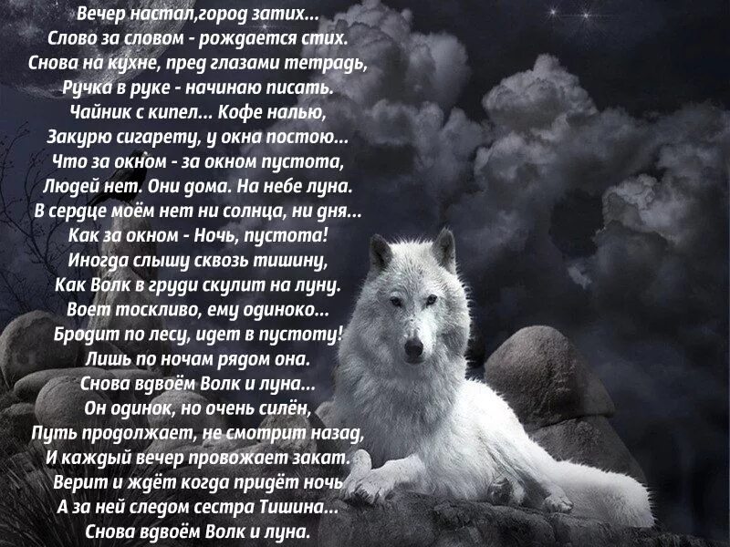 Песня утихнет боль придет. Стихотворение про волка. Стихи про Волков. Одинокий волк стихи. Стих про волчицу.