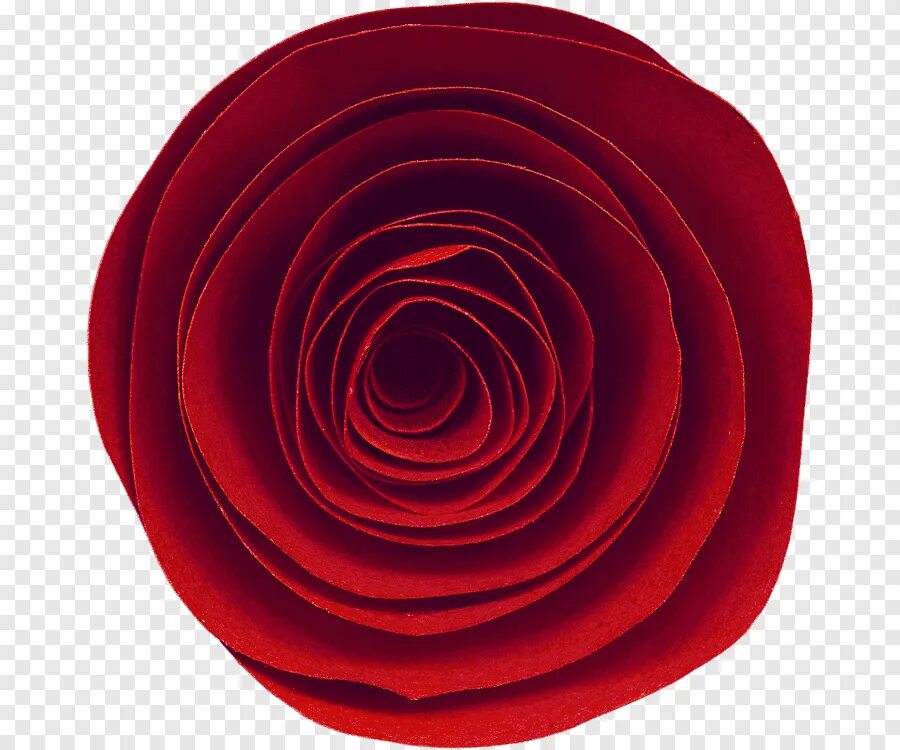 Песни круга красные розы