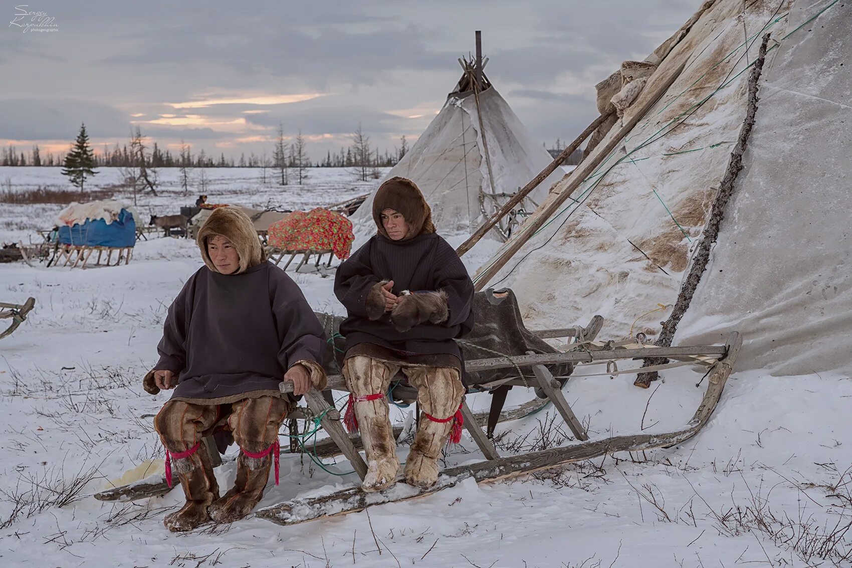 Ненцы ханты манси. Ханты манси оленеводы. Ханты манси народность. Ненцы ханты манси чукчи. Ненцы ханты манси.