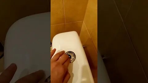 Ютуб туалета