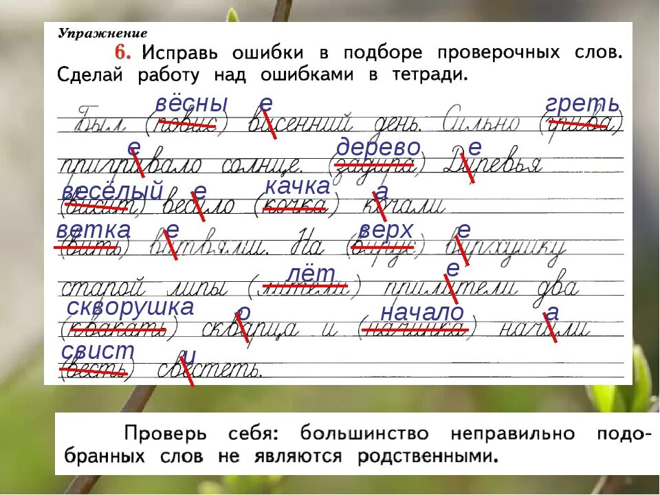 Какие буквы надо подчеркивать. Исправление ошибок в тетради. Исправления в тетради по русскому языку. Задания на исправление ошибок в тексте. Исправь ошибки в подборе проверочных.