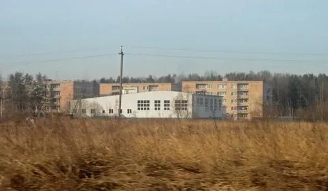 Лгу им пушкина филиалы