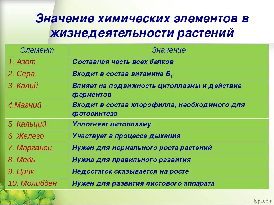 Хранение продуктов жизнедеятельности растительной. Значение химических элементов необходимых для растений. Химические элементы необходимые растениям. Роль химических элементов в жизни растений. Значение химических элементов в жизнедеятельности растений.