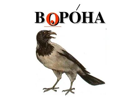 Ворона с большой буквы