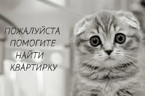 Вы мне очень помогли когда