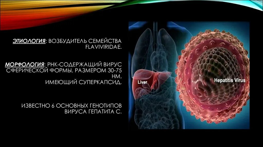 Возбудителем гепатита c является. Вирус гепатита в. вирусные гепатиты презентация. возбудитель гепатита а.