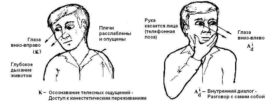 В какую сторону смотрит человек