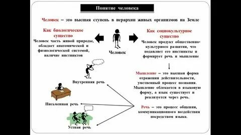 Определение и понятие человек