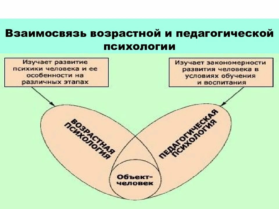 Задачи возрастной педагогики. Связь возрастной и педагогической психологии. взаимосвязь педагогической психологии и педагогики. объект педагогической психологии. предмет задачи и методы возрастной и педагогической психологии.