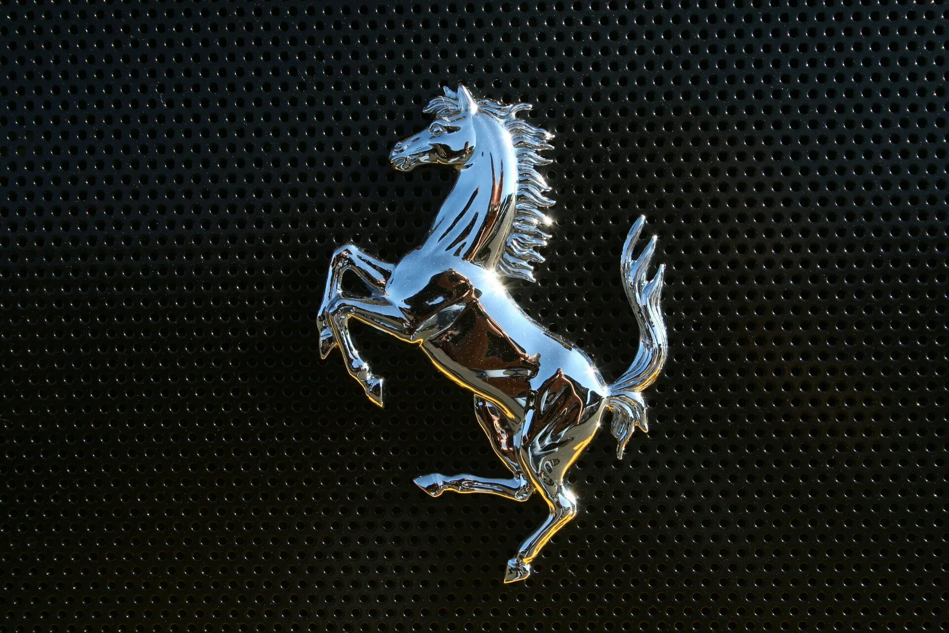 Всадник на белом коне книга. Chrome horse. Логотип феррари 3d золотой. Веселый конь. Лошадь для гравировки.