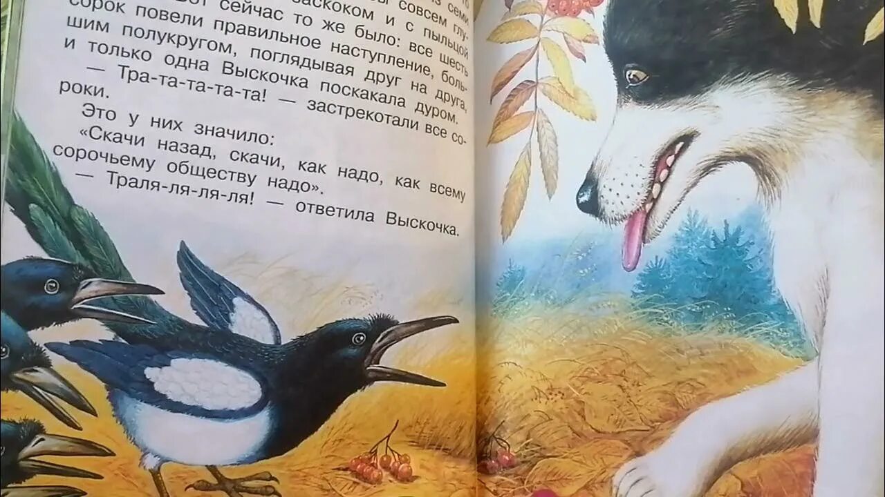 Выскочка читательский дневник 4. Рассказ выскочка пришвин. Рассказ м. м. Пришвина «выскочка». Выскочка пришвин 4 класс.