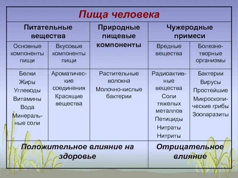 Основные компоненты пищи. Основные компоненты пищи человека. Основные компоненты пищи таблица. Значение основных компонентов пищи.