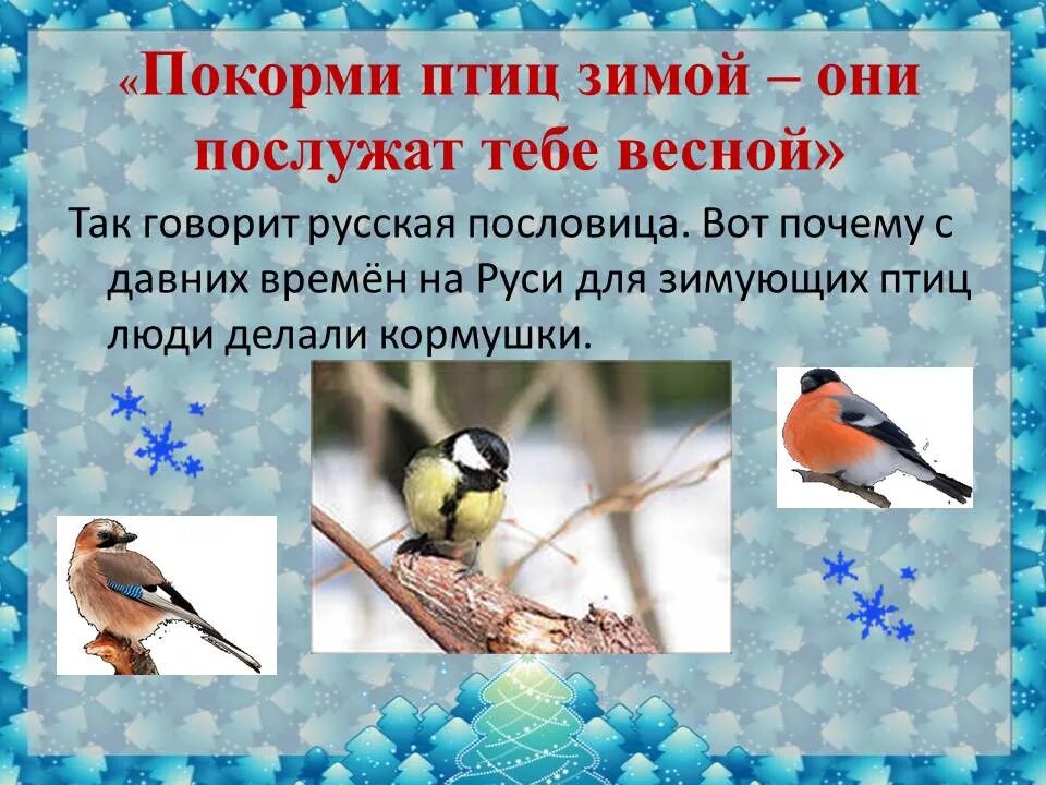 Зимуют группами. Птицы нашего края. Зимующие птицы для детей. Мероприятия о зимующих птицах. Птицы слайд.