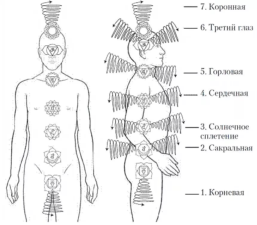 Что может быть в солнечном сплетении. Солнечное сплетение. грыжа в солнечном сплетении. между пупком и солнечным сплетением. солнечное сплетение на груди.