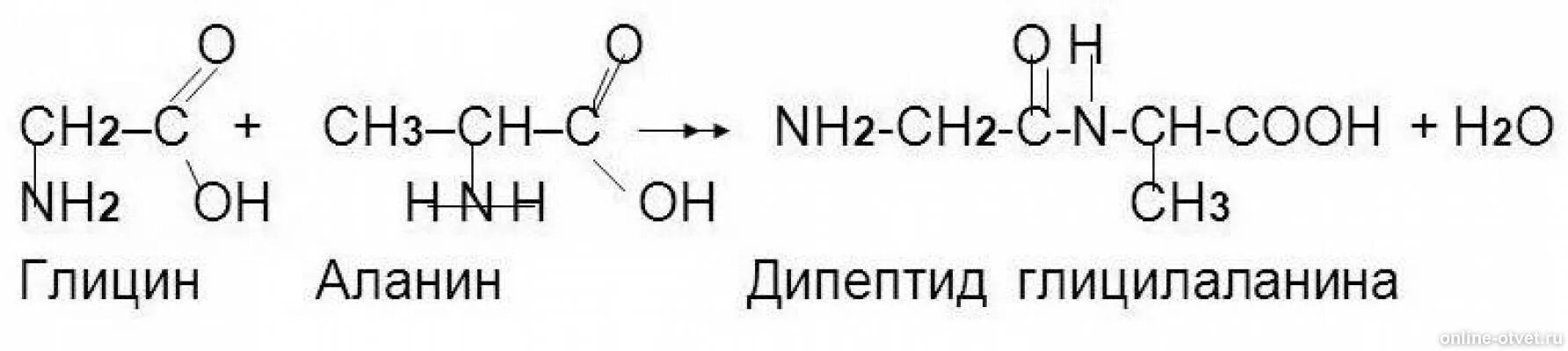 Ch ch ch cooh nh. Формула дипептида глицина. Ch2nh2cooh аланин. Дипептиды формула структурная. Глицин и аланин реакция.