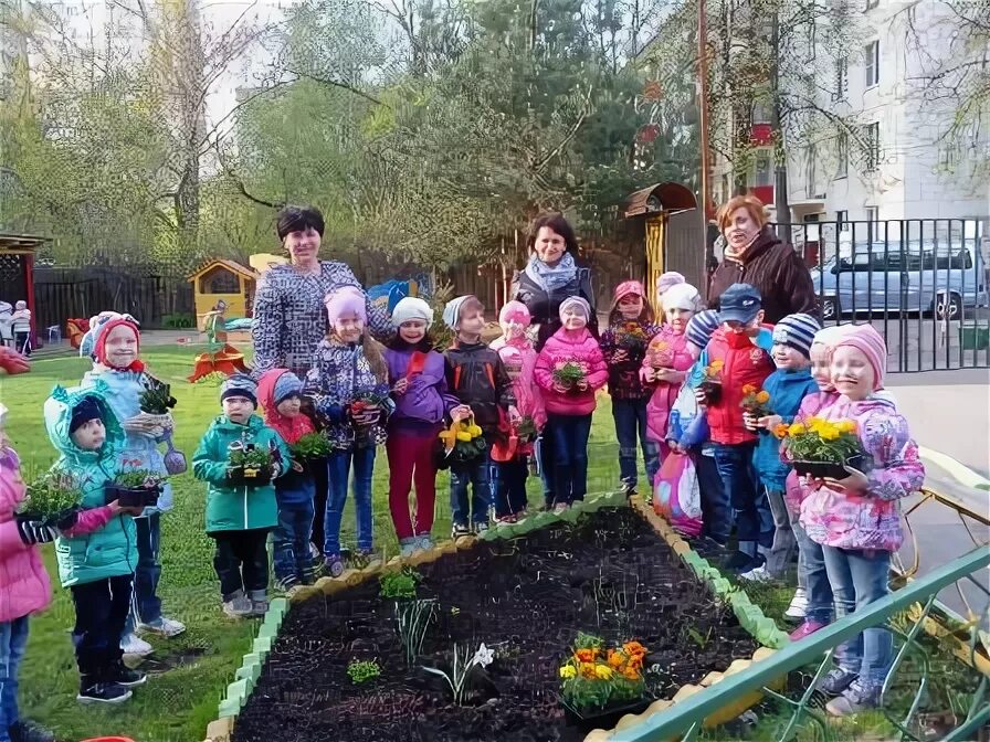 Детский сад 2072. Детский сад Новогиреево. Березка на клумбу в детском саду. Детский сад Новогиреево 1617.