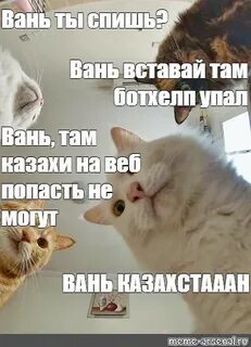 Вставай там
