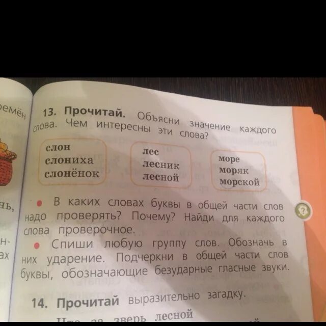 Прочитай что обозначает каждое слово стол. Прочитай слова объясни значение каждого слова. Что такое подчеркни в общей части слов буквы. Лес проверочное слово. Прочитай что обозначает каждое слово.