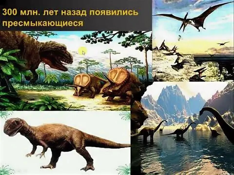 Эволюция животных видео. Эволюция животных. эволюция всего живого.