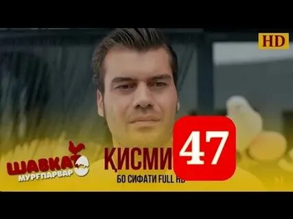 Шавкат кисми