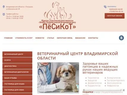 Кот и пес оренбург