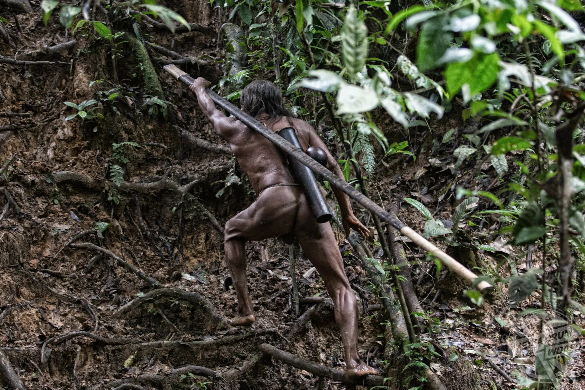 Индейцы ваорани эквадор. Племя короваи из новой гвинеи. Народы амазонки. Долина омо эфиопия. Племя караваи новая гвинея женщины.