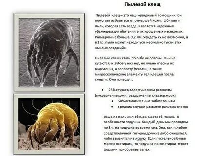 Пылевой клещ кожа