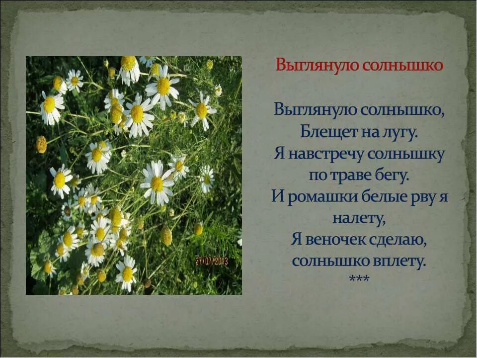 На лугу минусовка. Выглянуло солнышко блещет на лугу. Выглянуло солнышко блещет на лугу я навстречу солнышку по траве бегу. Песня выглянуло солнышко блещет на лугу. Выглянуло солнышко блещет на лугу слова.