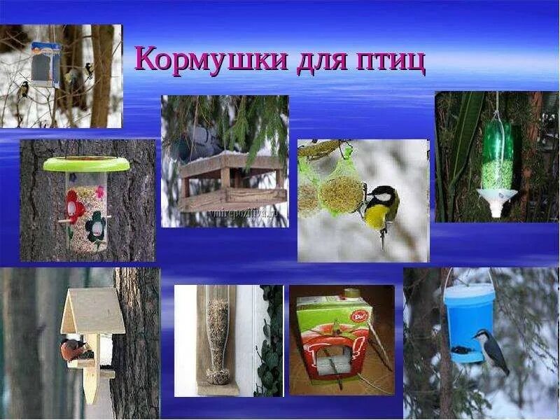Виды кормушек фото - DelaDom.ru