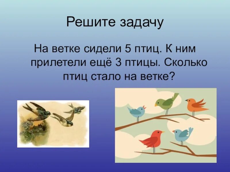 Птицы 5 класс 8. Задачи про птиц. Задачки с птичками. Задача про птиц 1 класс. Задачи про птиц для дошкольников.