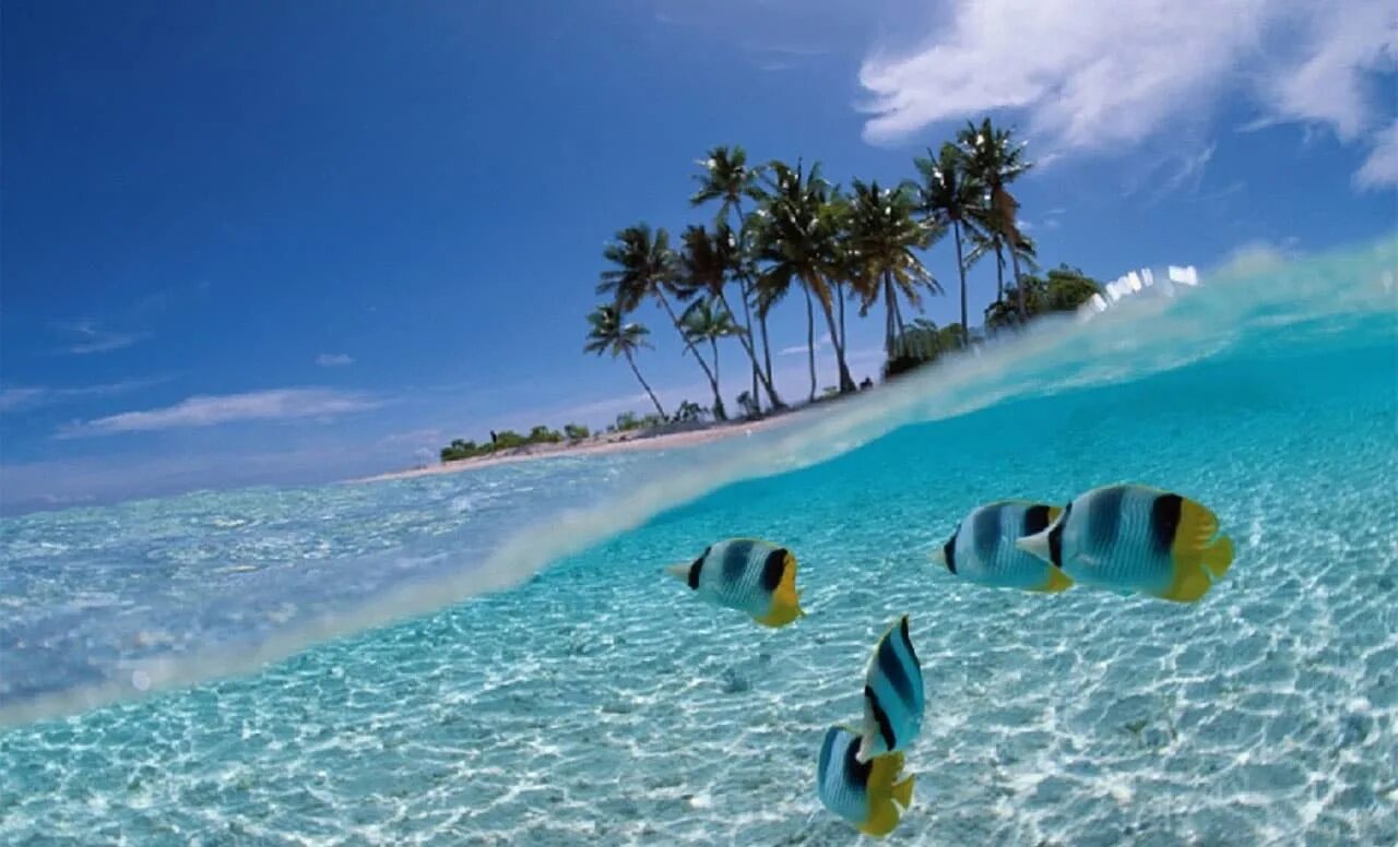 Море в доминикане. Полететь на море в марте. Девушка в платье на берегу моря. Египет 2021. Где можно отдохнуть.