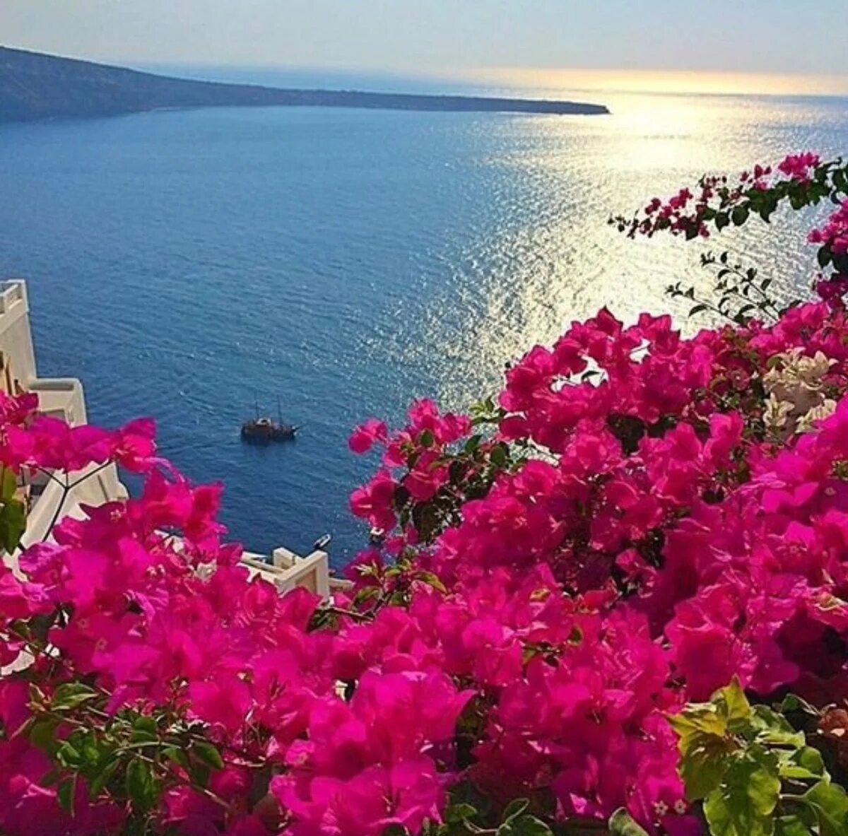 Итальянская палитра цветов. Тунис бугенвиллия. Сицилия эгадские острова. Османская империя флаг 18 век. Мармарис турция цветы.