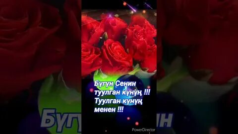 Бугун сенин туган