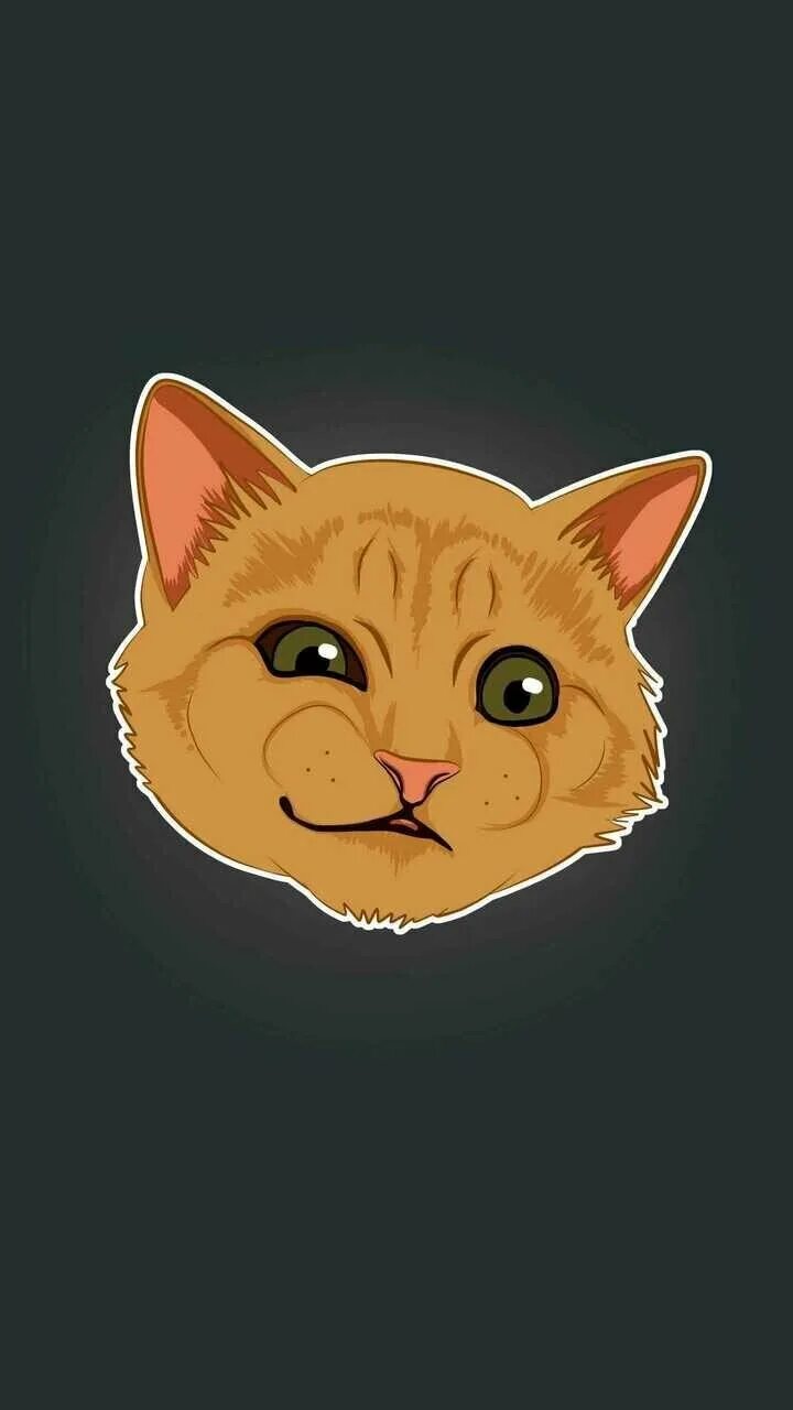 Обои на телефон с котиками смешные мем Grumpy Cat Wallpaper For Phone 720x1280, Grumpy Cat Wallpaper Iphone (#186879)