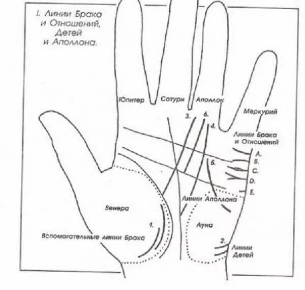 Дети на линии руки хиромантия расшифровка. Линии брака на Холме Венеры. Хиромантия линия детей на руке у женщины. Как определить количество детей по линиям на руке у женщины фото.