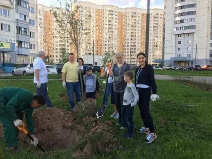 Жилищник косино