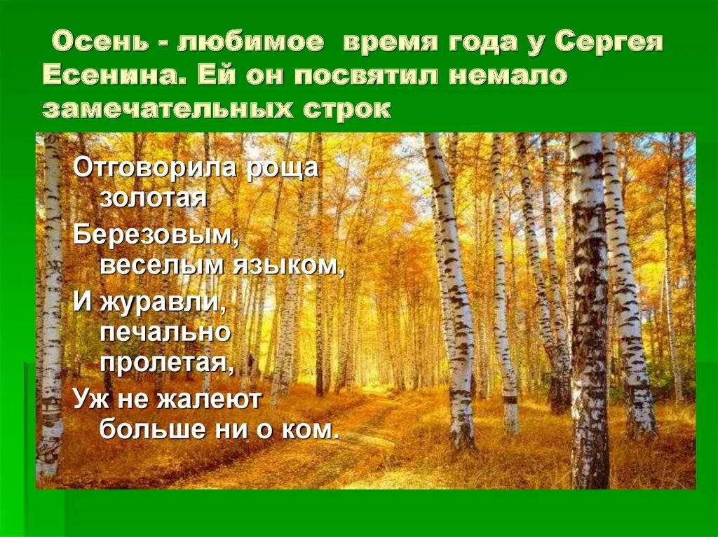 прочитайте данные предложения. дождь в березовой роще. дубровский объезжал однажды малое свое владение приближаясь. пейзаж ствол березы. берёзовая роща картина левитана сочинение 7 класс.