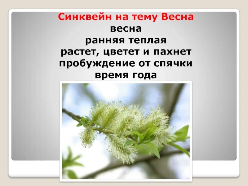 Синквейны на тему веснс.