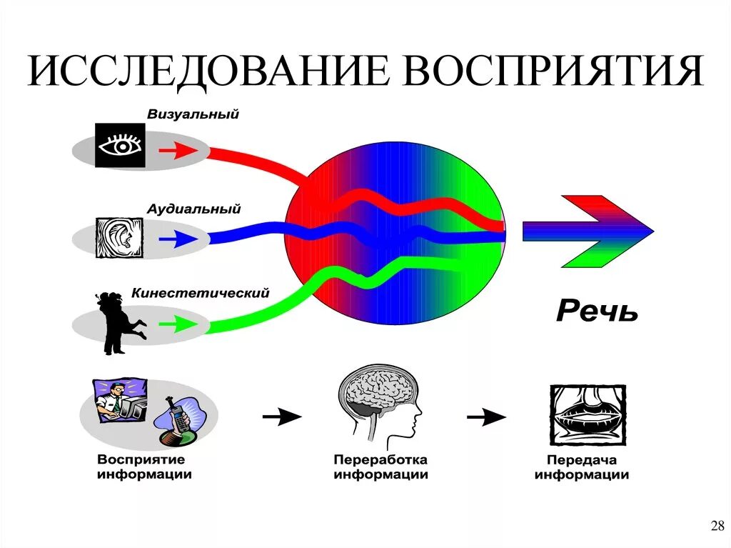 Изучение особенностей восприятия