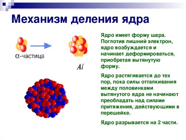 Капельная модель деления ядра урана. Механизм деления ядра. Цепная реакция деления ядер урана. Капельная модель деления ядра. Продукты распада ядра