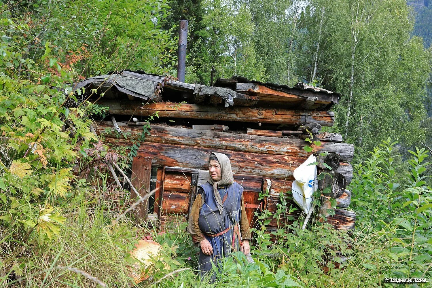 Река большой Абакан Заимка Агафьи Лыковой.