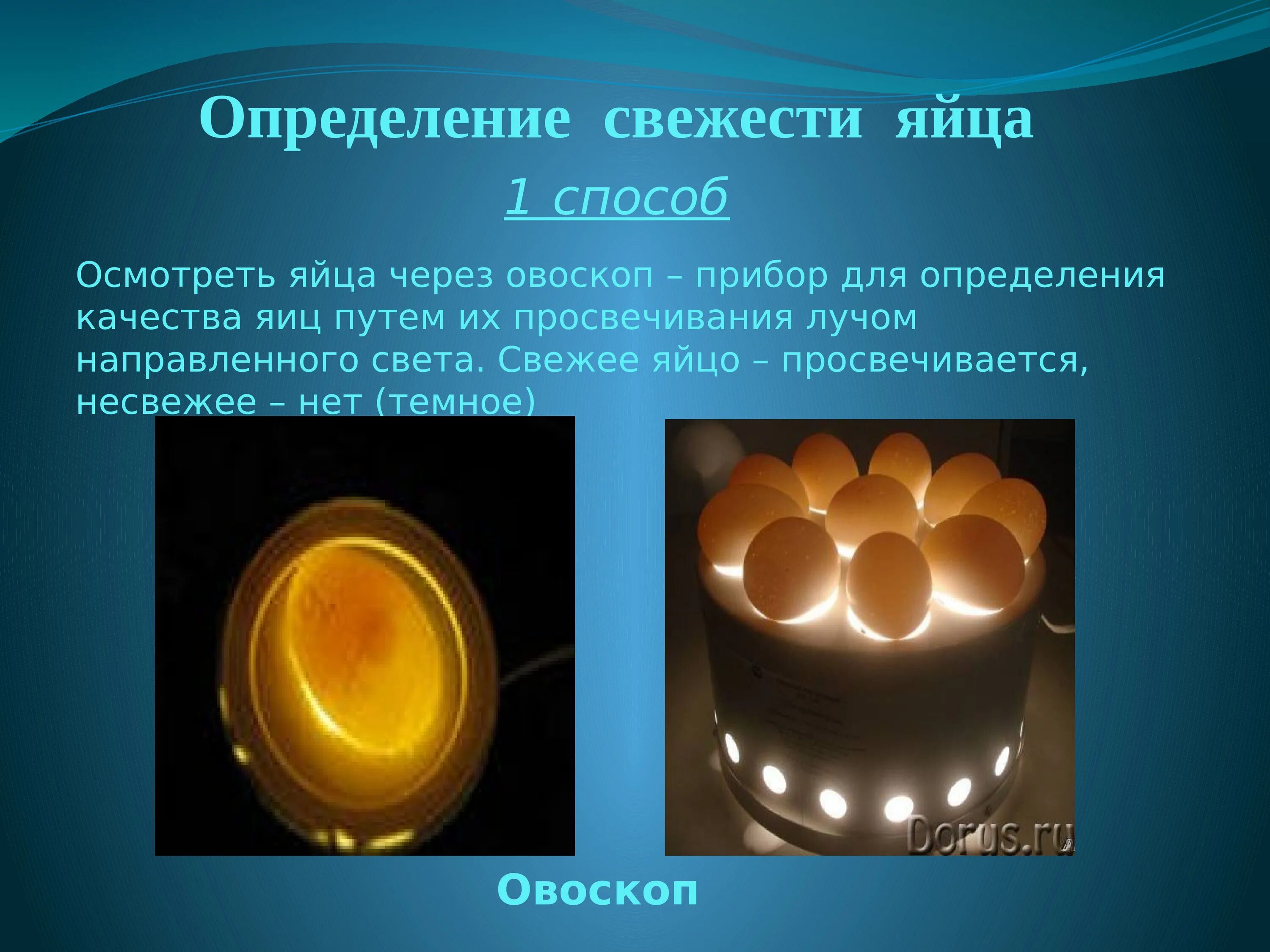 Качества яиц куриных. Определение свежести яиц. способы определения качества яиц. прибор для определения свежести яиц. качество яиц.