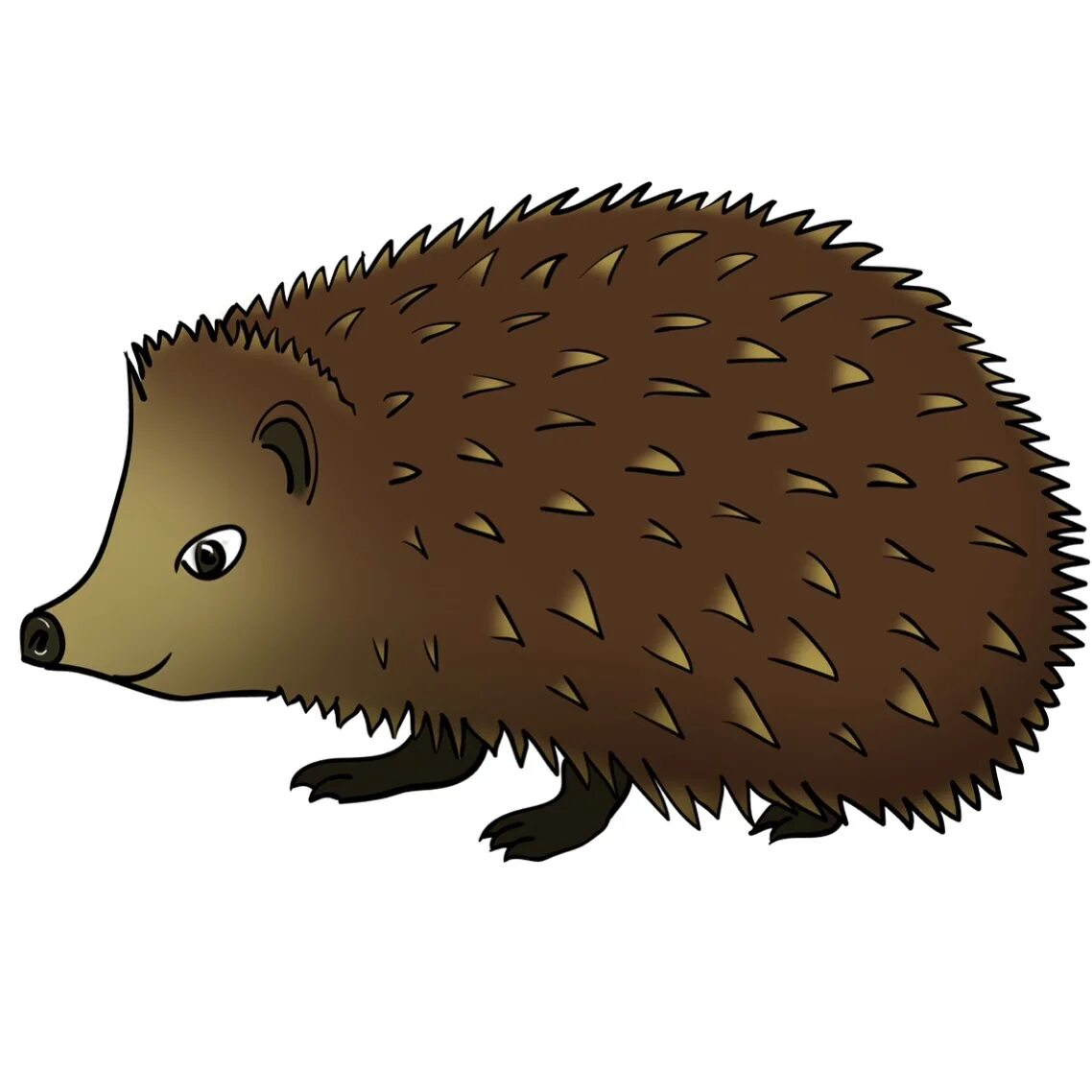 Ежик на английском. Ежик по английскому языку. Ёж. Карточка ежик. Ежик на английском.