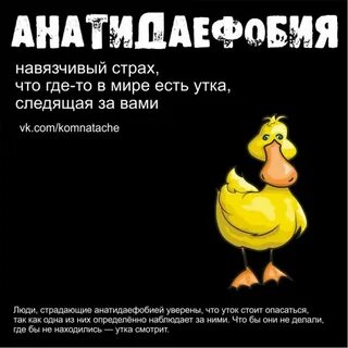 Утка следит за тобой фобия как называется